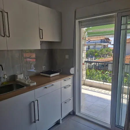 Eleni House Apartment Nea Vrasna Room photo